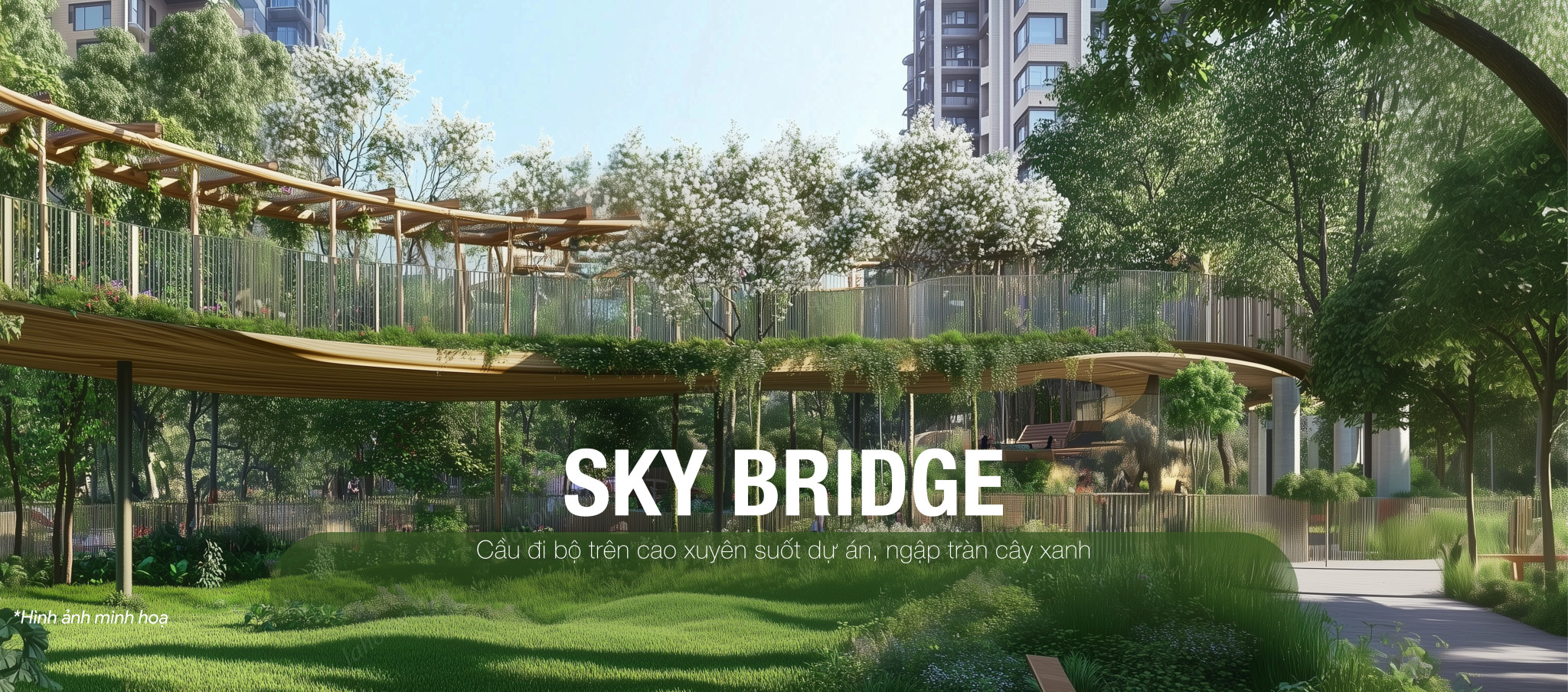 Sky Bridge
